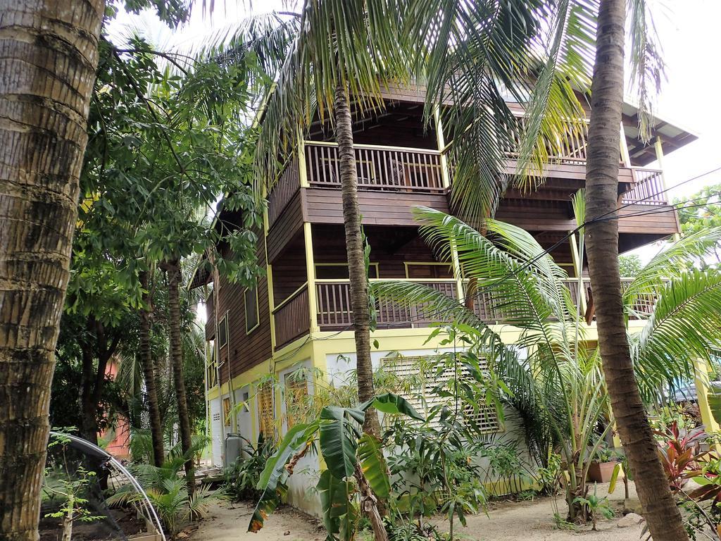 Driftwood Gardens Guesthouse Placencia Exterior photo